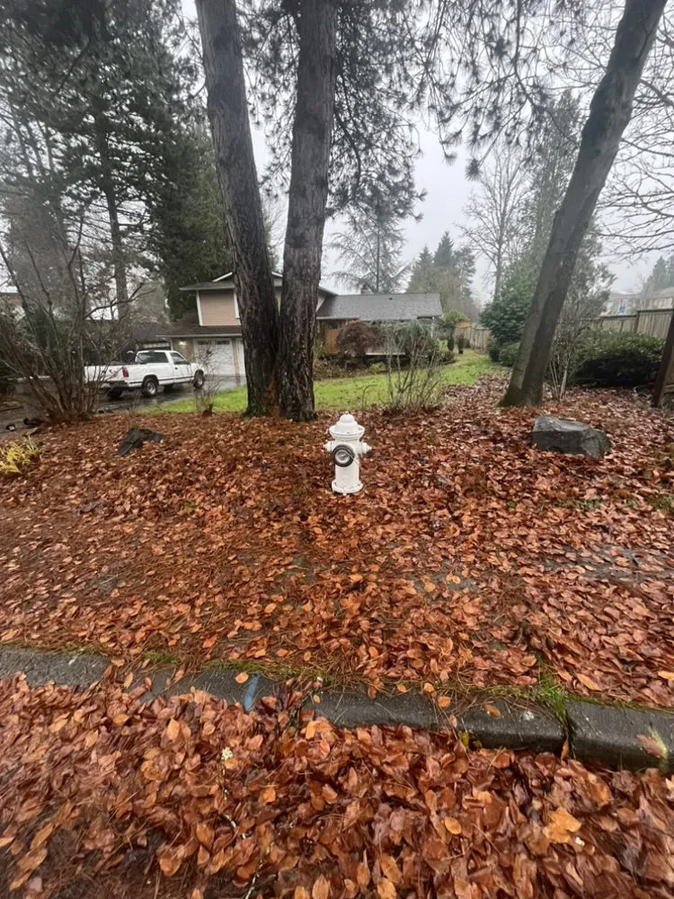 Local landscape design in Snohomish, WA - Ozzies outdoor services