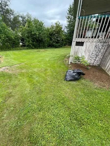 Affordable lawn mowing service for outdoor upgrades across Snohomish, WA - Ozzies outdoor services