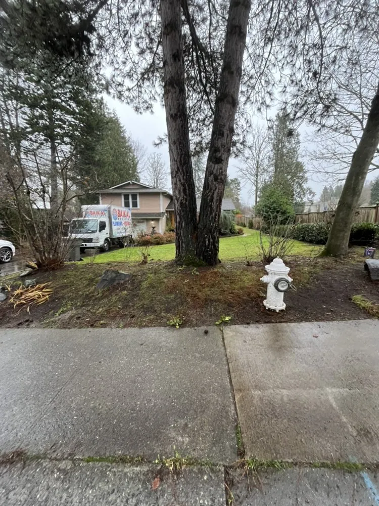 Affordable garden landscaping for beautiful yards in Snohomish, WA by Ozzies outdoor services