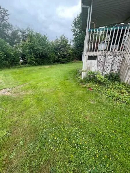 Professional landscape installation in Snohomish, WA by Ozzies outdoor services