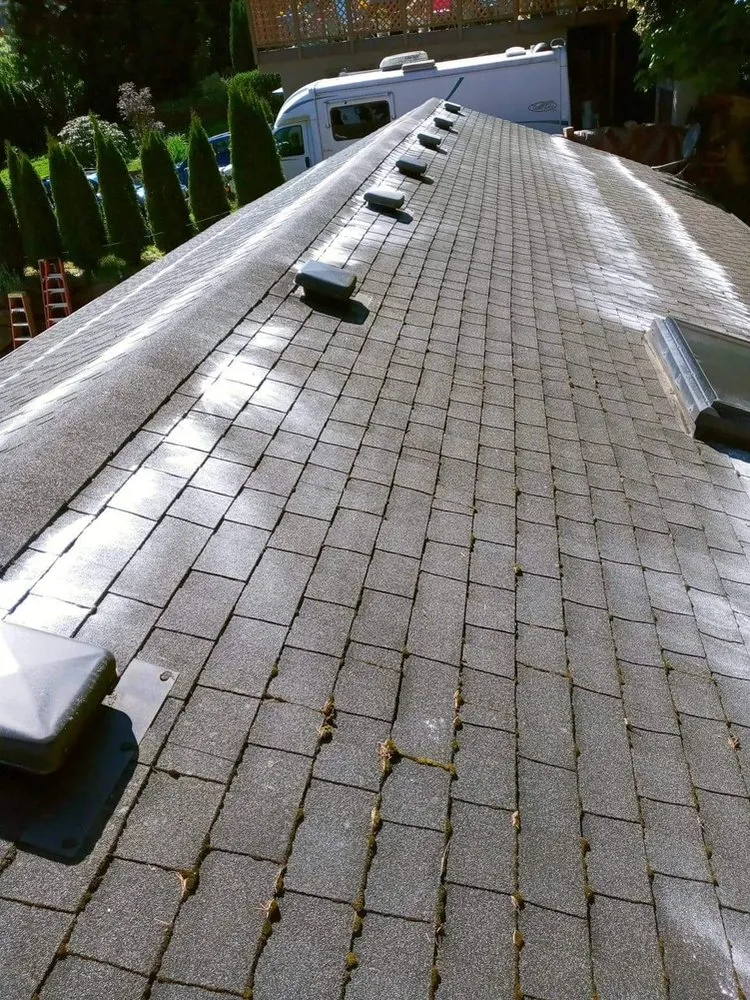 Professional outdoor landscaping experts serving Snohomish, WA - Ozzies outdoor services