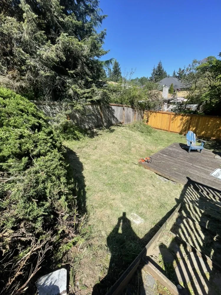 Professional lawn mowing service in Snohomish, WA by Ozzies outdoor services