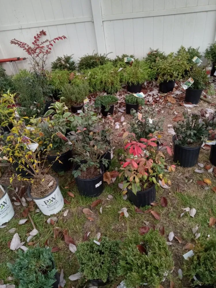 Custom garden landscaping in Woodbridge, NJ - Ozzy and Son Landscaping