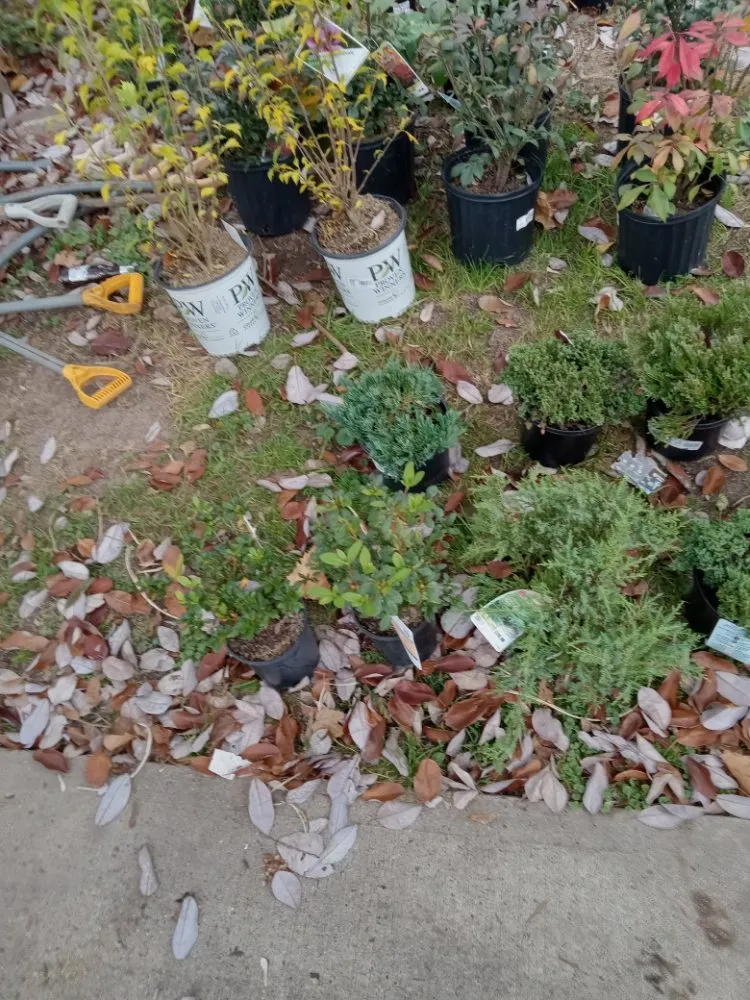 Expert garden landscaping experts serving Woodbridge, NJ - Ozzy and Son Landscaping