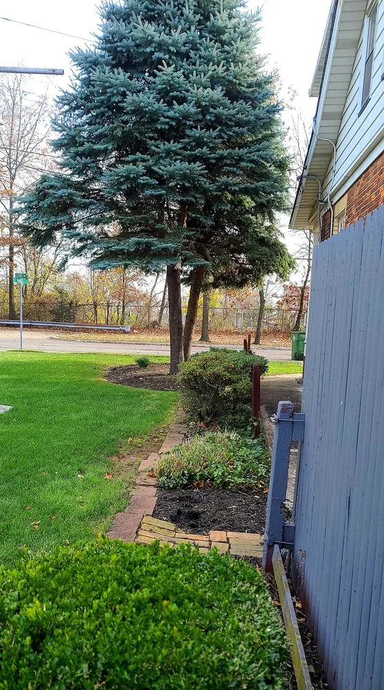 Reliable landscape installation near you across Woodbridge, NJ - Ozzy and Son Landscaping