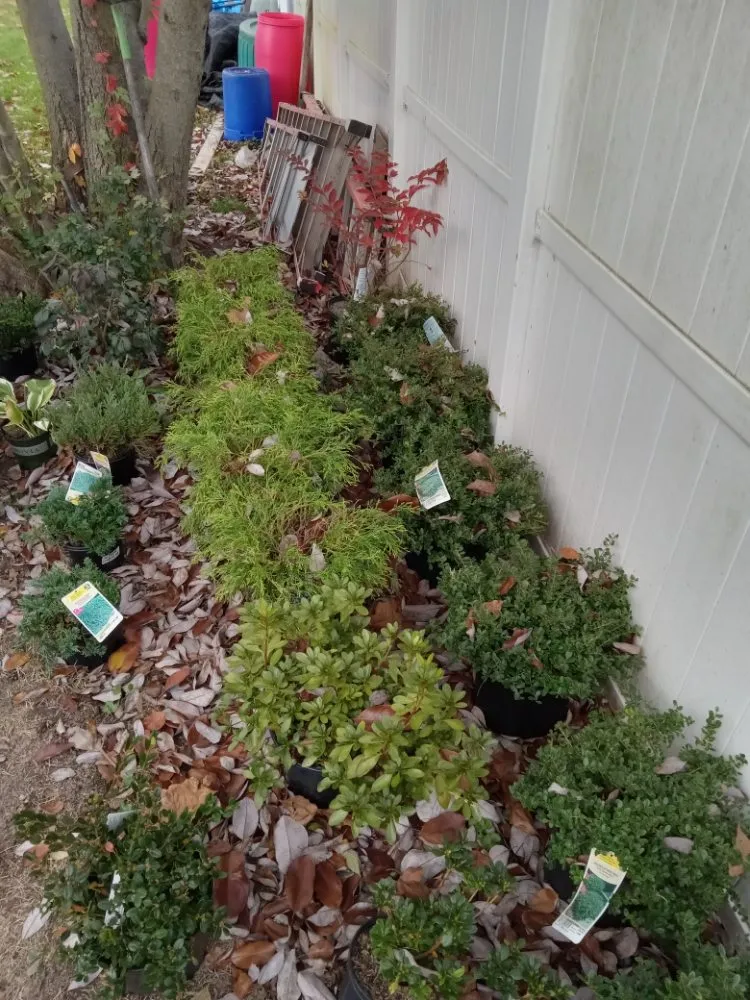 Affordable outdoor landscaping near you in Woodbridge, NJ by Ozzy and Son Landscaping