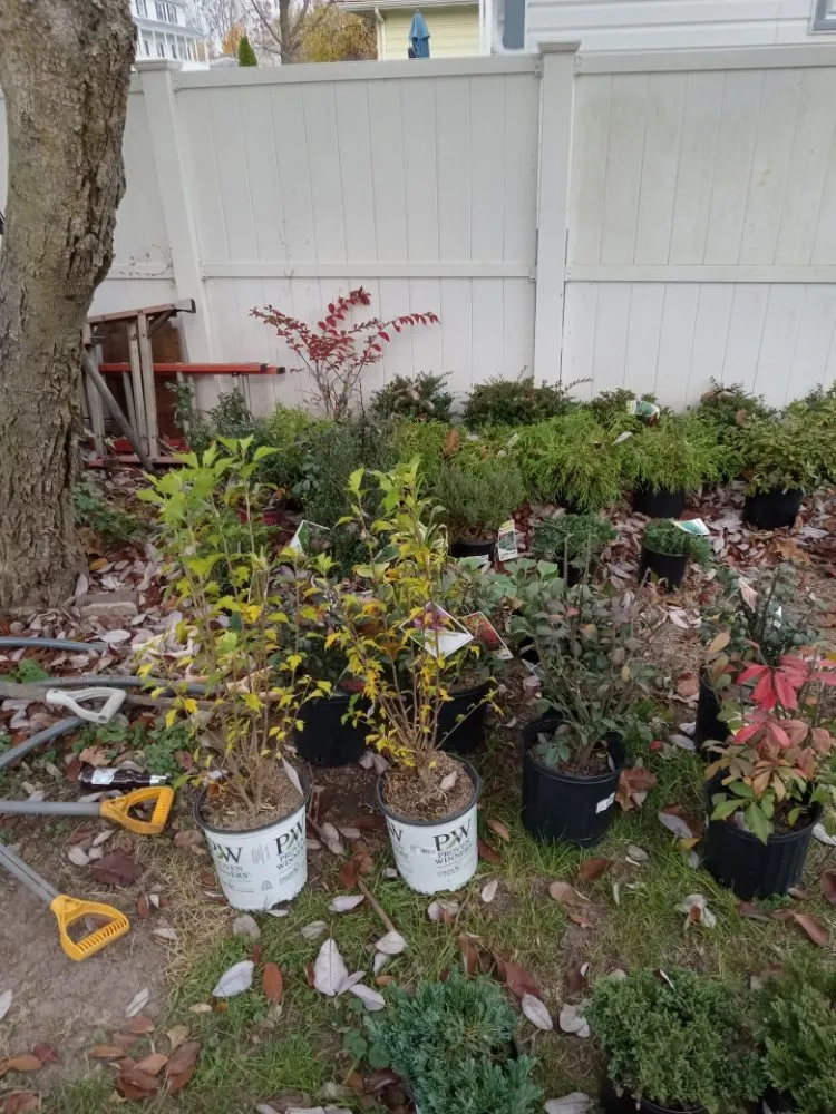 Professional landscaping services in Woodbridge, NJ by Ozzy and Son Landscaping