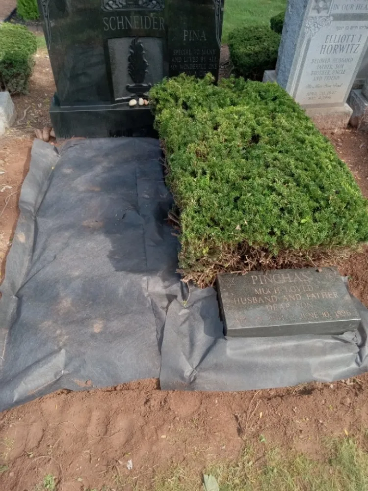 Professional lawn care service for residential properties across Woodbridge, NJ - Ozzy and Son Landscaping