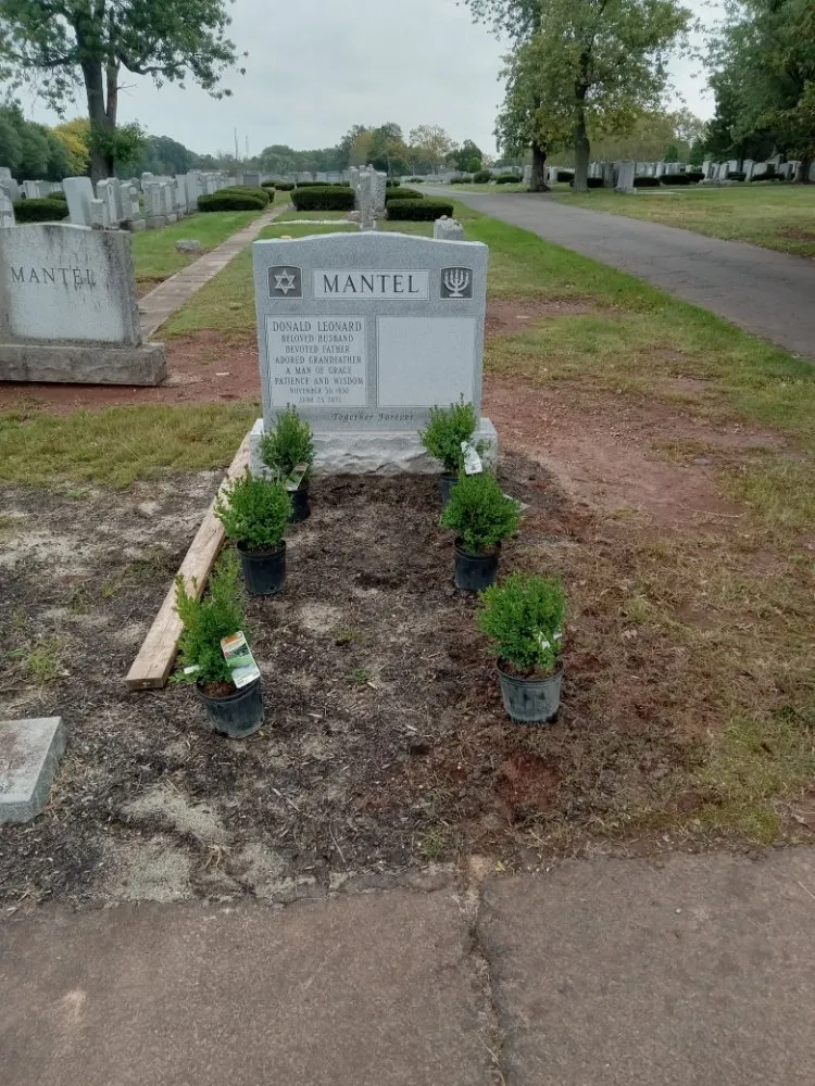 Local landscaping services in Woodbridge, NJ by Ozzy and Son Landscaping