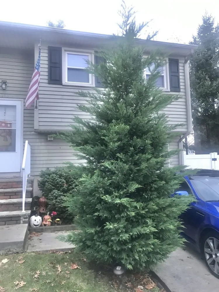 Affordable landscaping services near you across Woodbridge, NJ - Ozzy and Son Landscaping