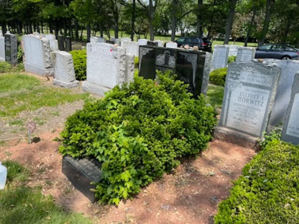 Local yard maintenance experts serving Woodbridge, NJ - Ozzy and Son Landscaping