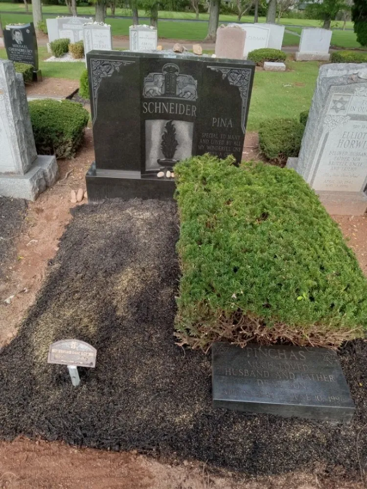 Custom landscape design in Woodbridge, NJ - Ozzy and Son Landscaping