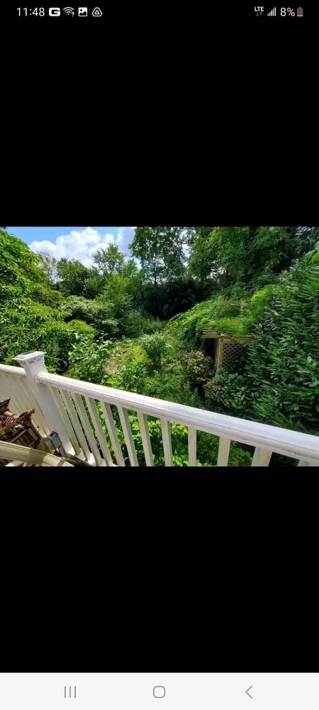 Local yard cleanup service for beautiful yards across Woodbridge, NJ - Ozzy and Son Landscaping