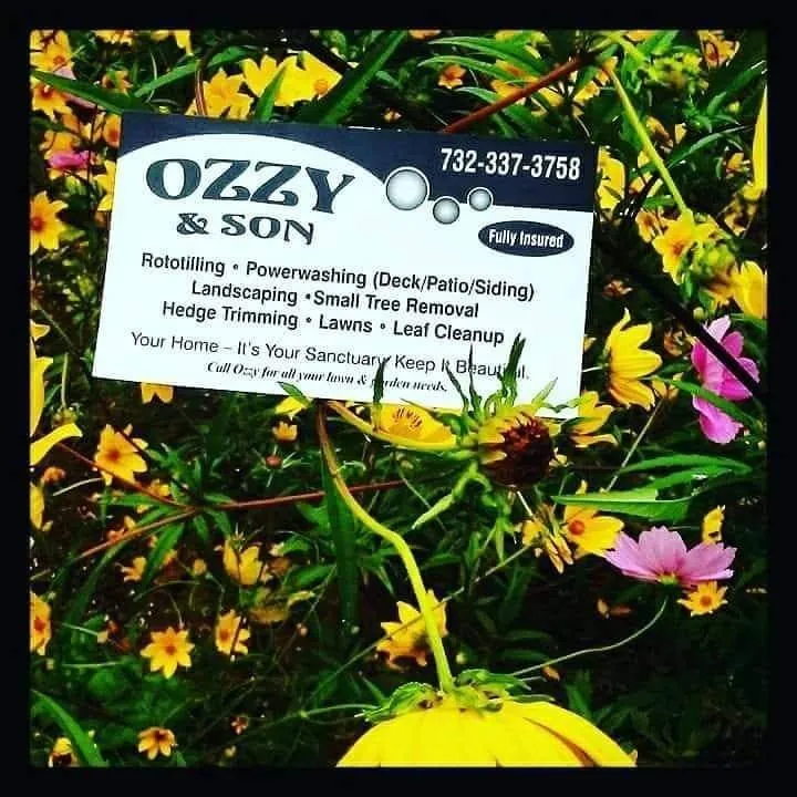 Trusted landscaping services in Woodbridge, NJ by Ozzy and Son Landscaping