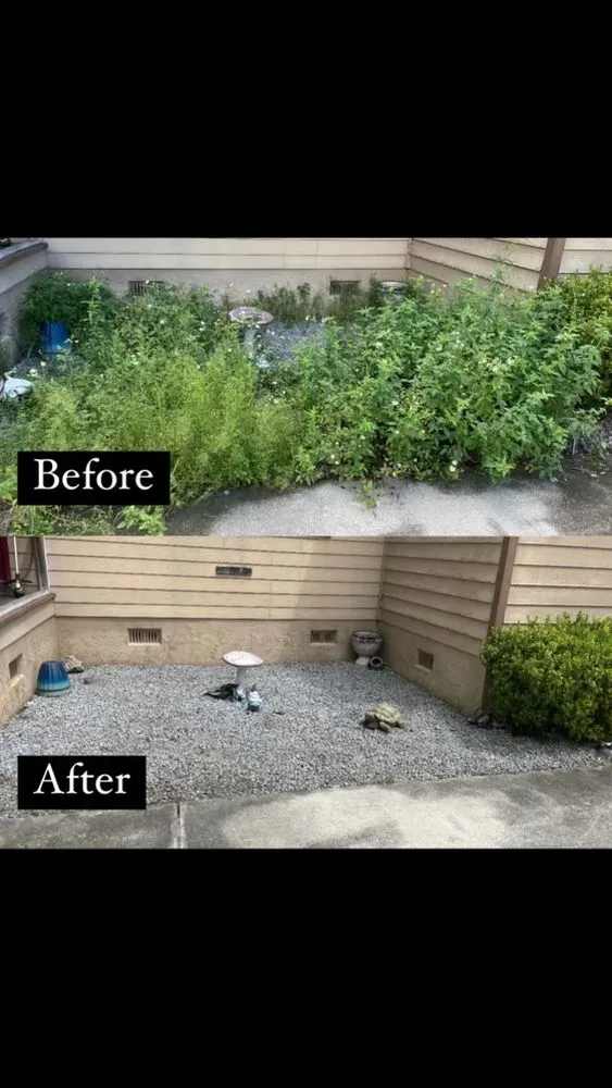 Affordable landscaping services for beautiful yards across Sorrento, FL - Ozzys Lawn Care