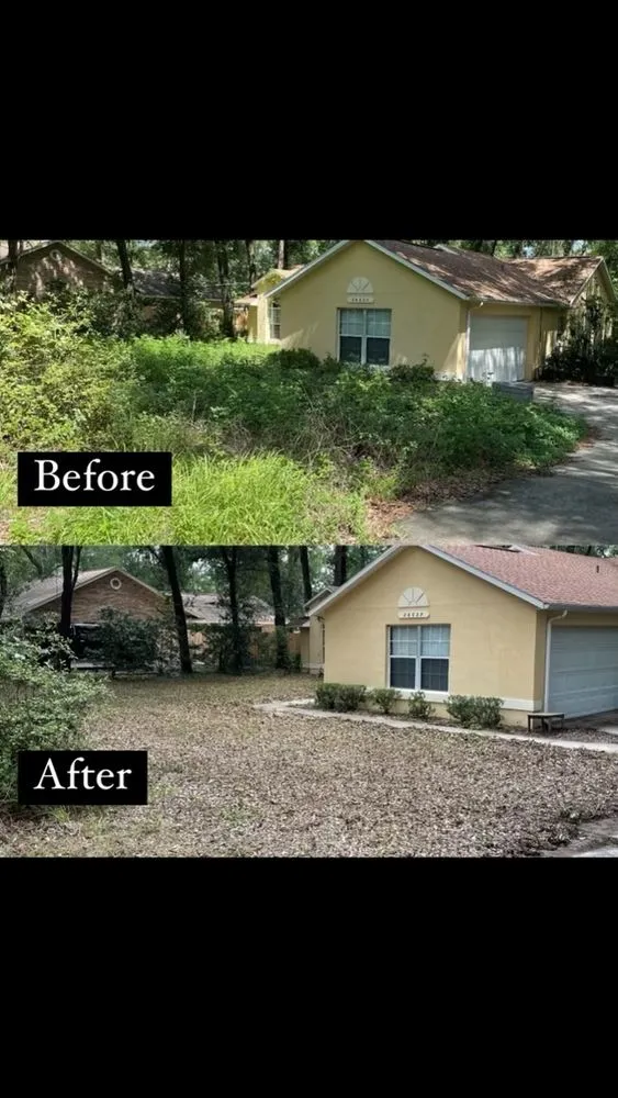 Expert yard maintenance for outdoor upgrades across Sorrento, FL - Ozzys Lawn Care