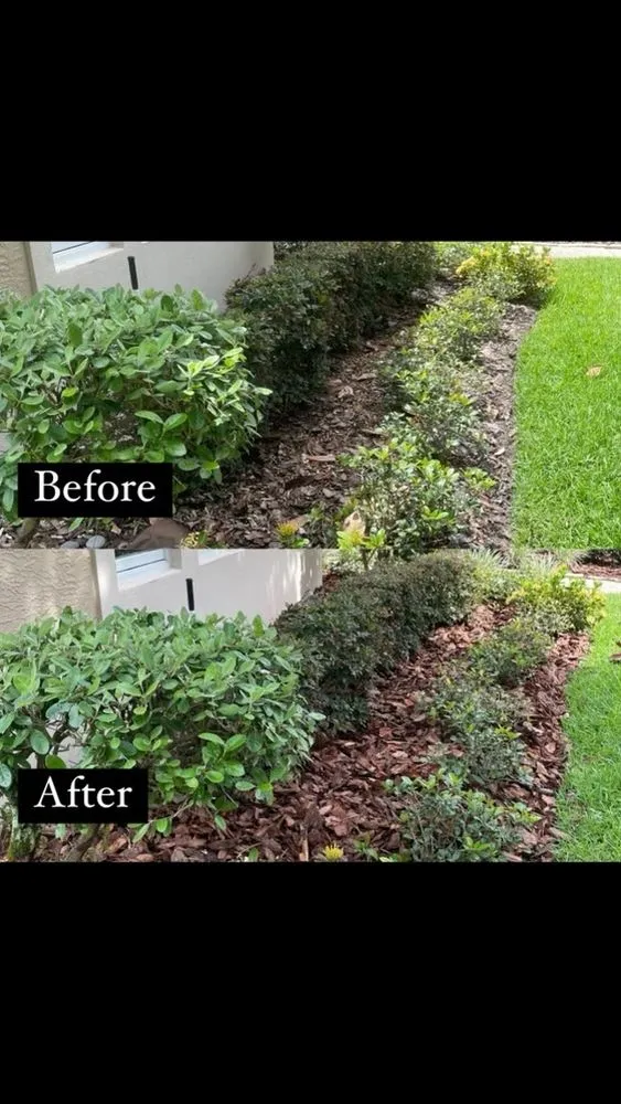 Local yard maintenance in Sorrento, FL - Ozzys Lawn Care