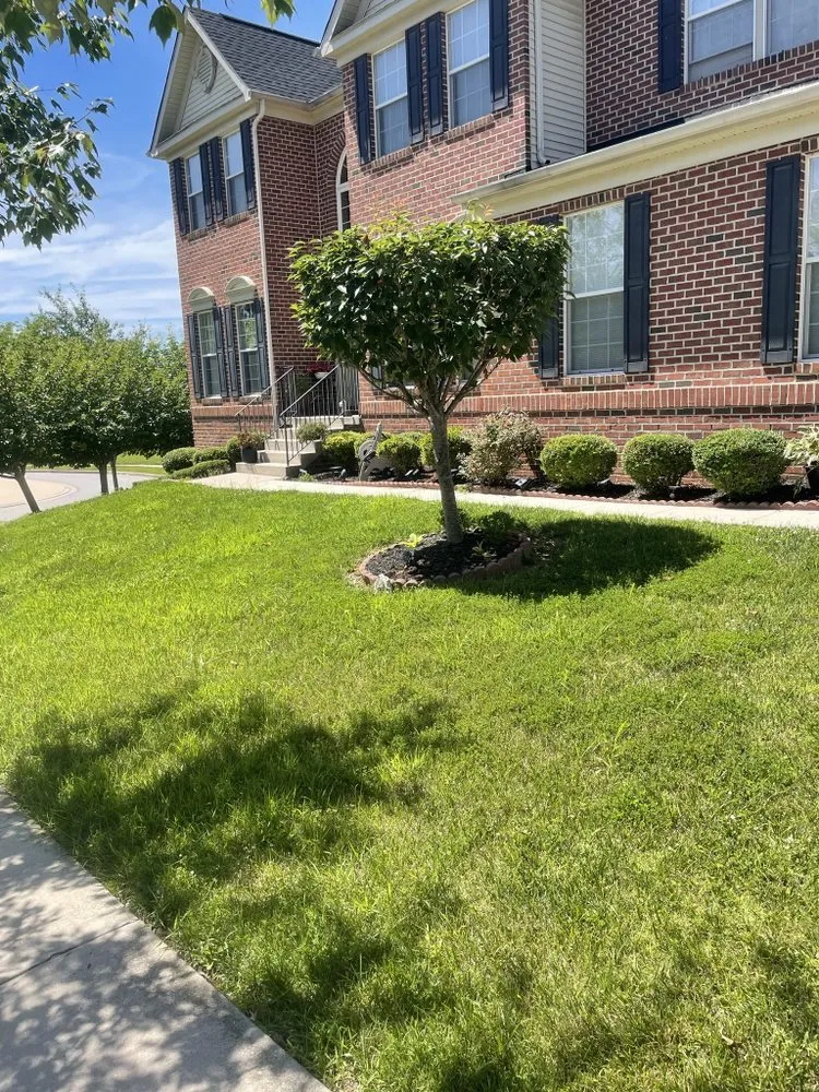Top-rated landscaping services in Aberdeen, MD by P & A Landscaping