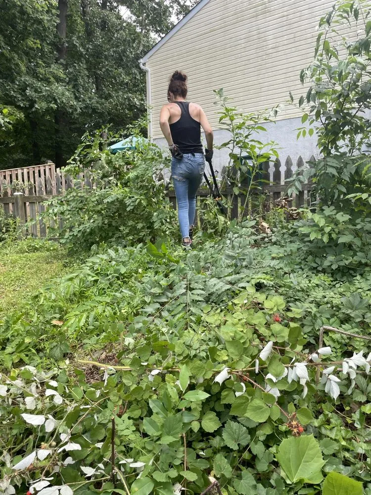 Trusted landscaping services experts serving Aberdeen, MD - P & A Landscaping