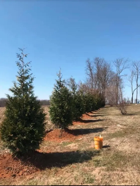 Trusted landscaping services experts serving Charles Town, WV - P & C Brothers Landscaping