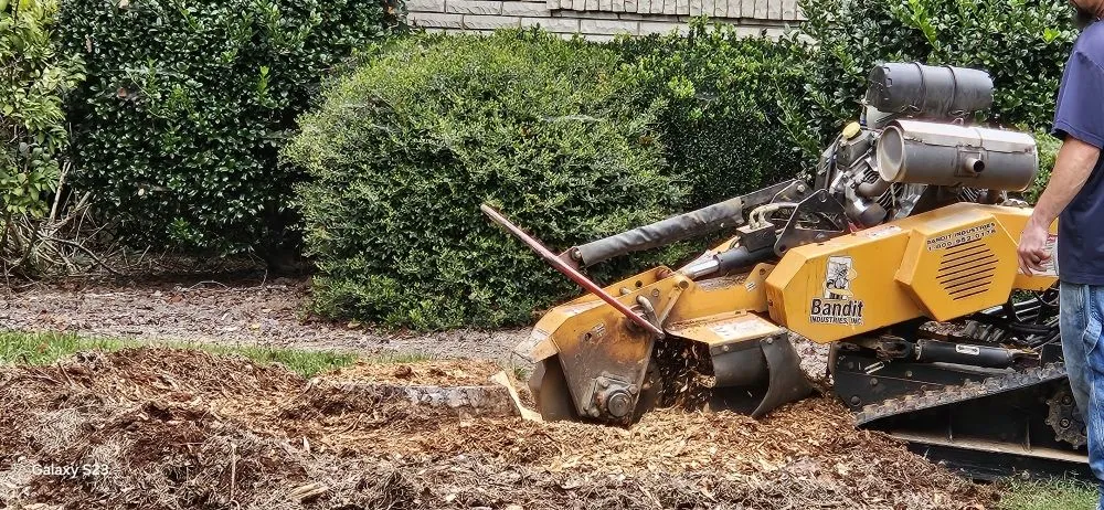 Local yard maintenance in Chesterfield, SC - P & C Concept's and Creation's