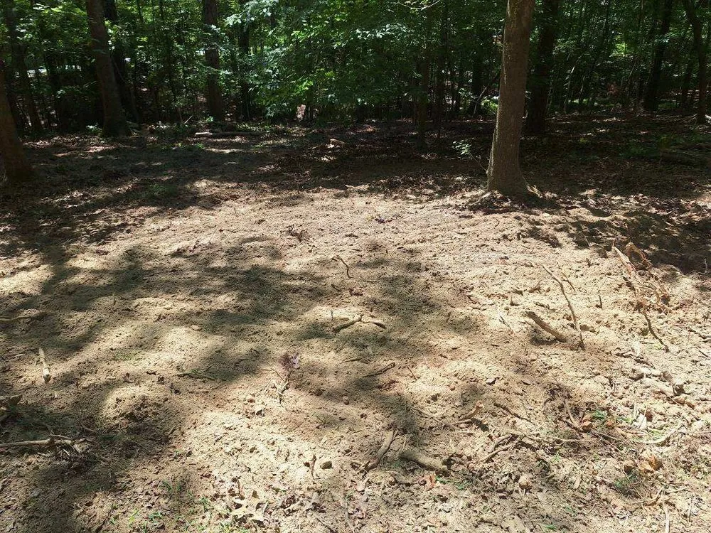 Expert yard cleanup service near you in Chesterfield, SC by P & C Concept's and Creation's