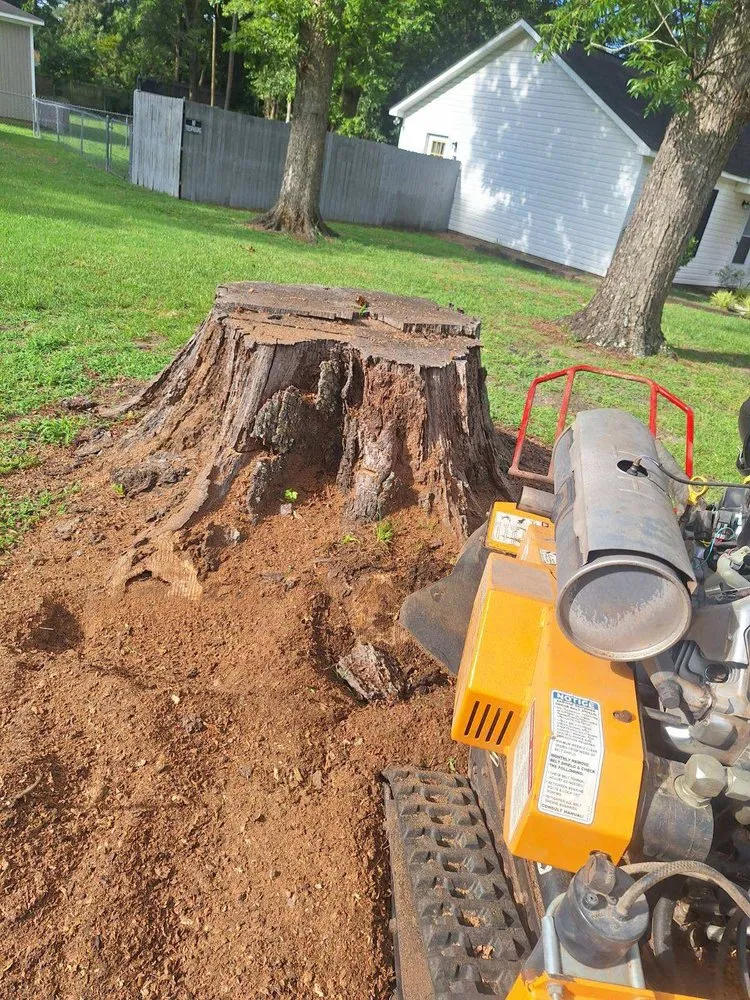 Expert lawn care service experts serving Chesterfield, SC - P & C Concept's and Creation's