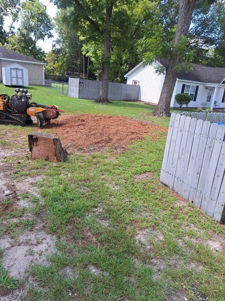 Expert yard maintenance for residential properties across Chesterfield, SC - P & C Concept's and Creation's