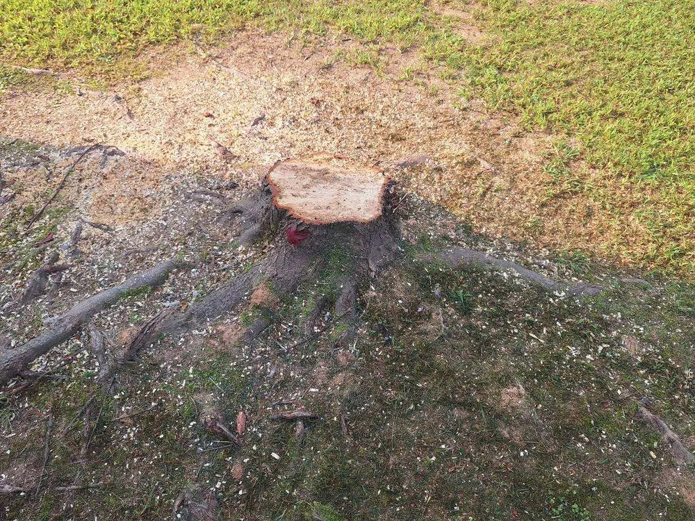 Custom outdoor landscaping experts serving Chesterfield, SC - P & C Concept's and Creation's