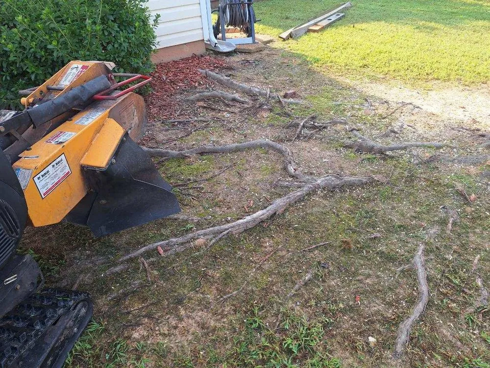 Custom lawn care service in Chesterfield, SC by P & C Concept's and Creation's