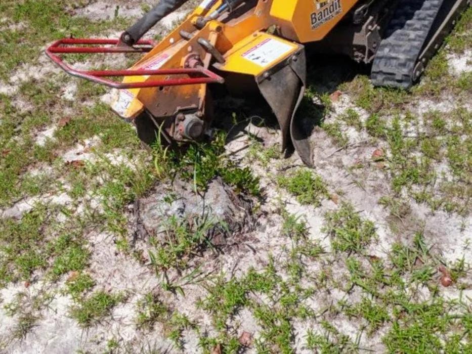 Local yard maintenance in Chesterfield, SC - P & C Concept's and Creation's