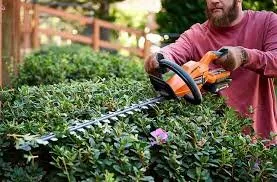 Reliable landscape design in Chesterfield, SC by P & C Concept's and Creation's