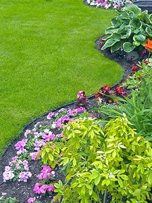 Local lawn care service for year-round maintenance in Lebanon, OH by P & J Lawn Service & Landscaping