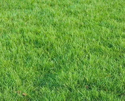 Professional yard cleanup service in Lebanon, OH - P & J Lawn Service & Landscaping