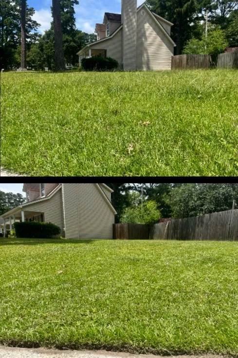 Local landscape design in Savannah, GA - P & L Landscaping