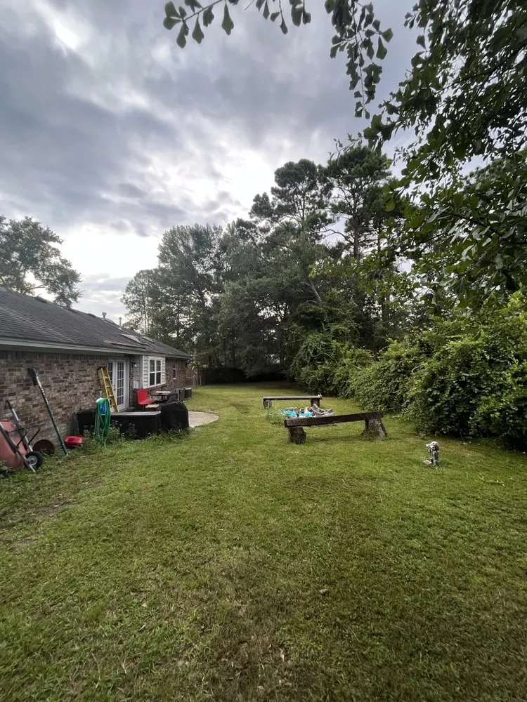 Local lawn mowing service for year-round maintenance across Savannah, GA - P & L Landscaping