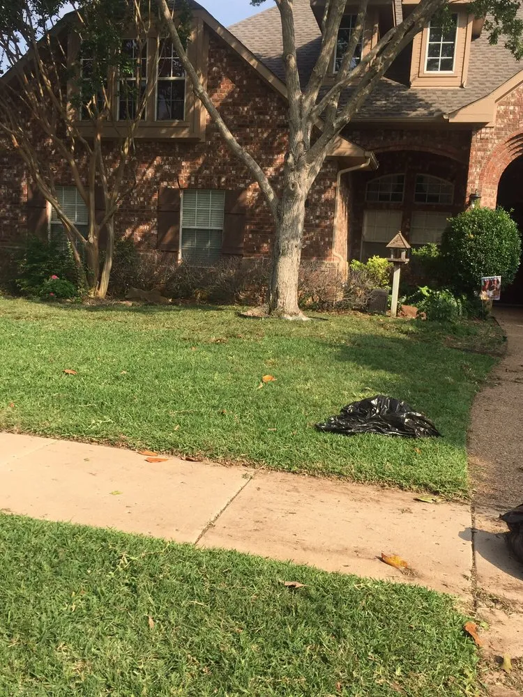 Top-rated landscape design for year-round maintenance across North Richland Hills, TX - P & R Landscaping