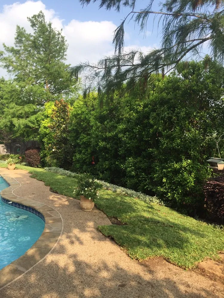 Custom outdoor landscaping for year-round maintenance across North Richland Hills, TX - P & R Landscaping