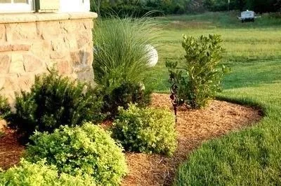 Local residential landscaping for outdoor upgrades in Des Plaines, IL by P & R Lawn Care
