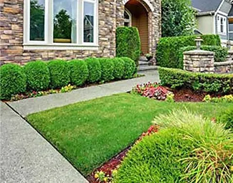 Reliable yard maintenance experts serving Des Plaines, IL - P & R Lawn Care