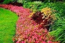 Expert landscape design in Des Plaines, IL by P & R Lawn Care