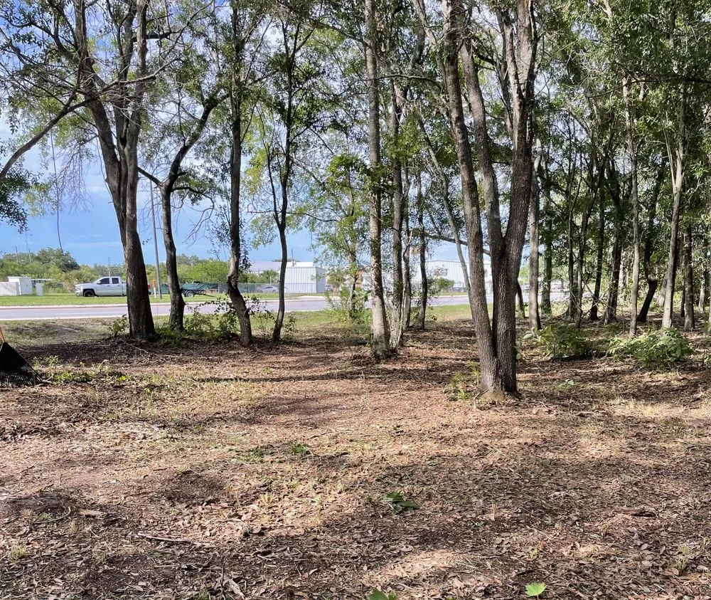 Trusted yard maintenance near you in St. Cloud, FL by P & R Multi Service