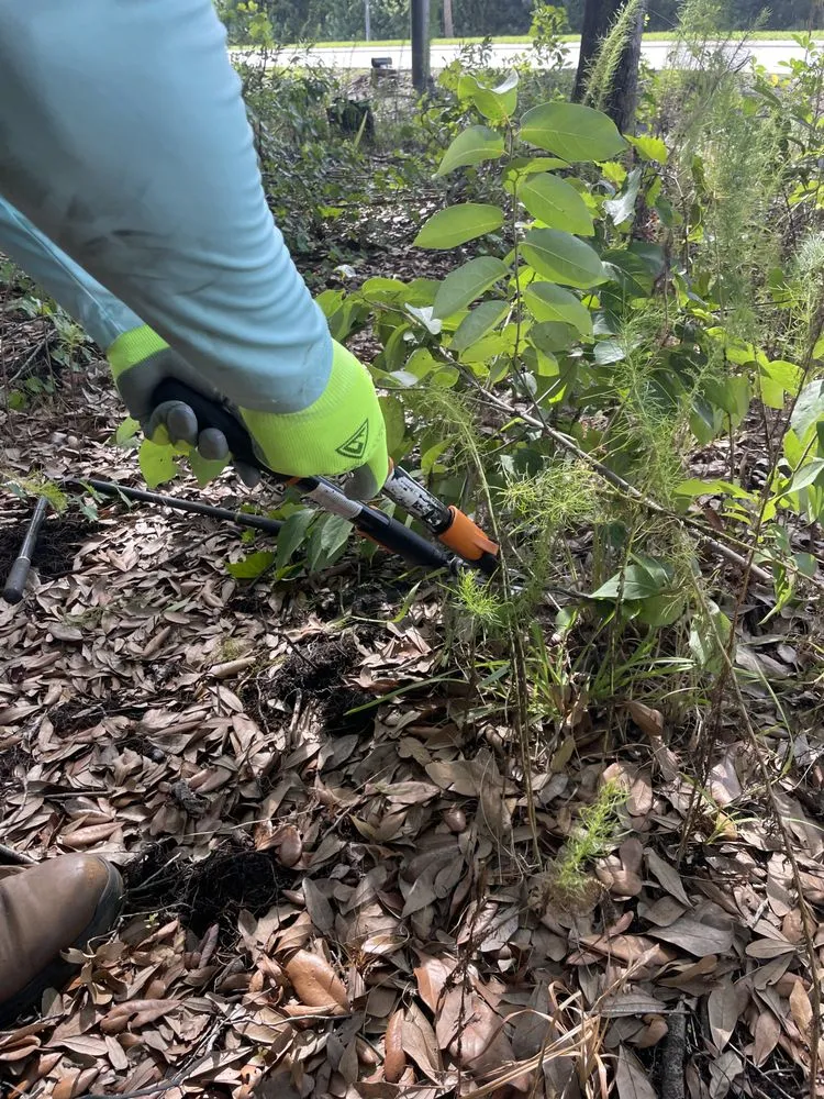 Expert outdoor landscaping in St. Cloud, FL - P & R Multi Service