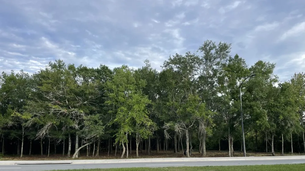 Custom landscaping services for residential properties across St. Cloud, FL - P & R Multi Service