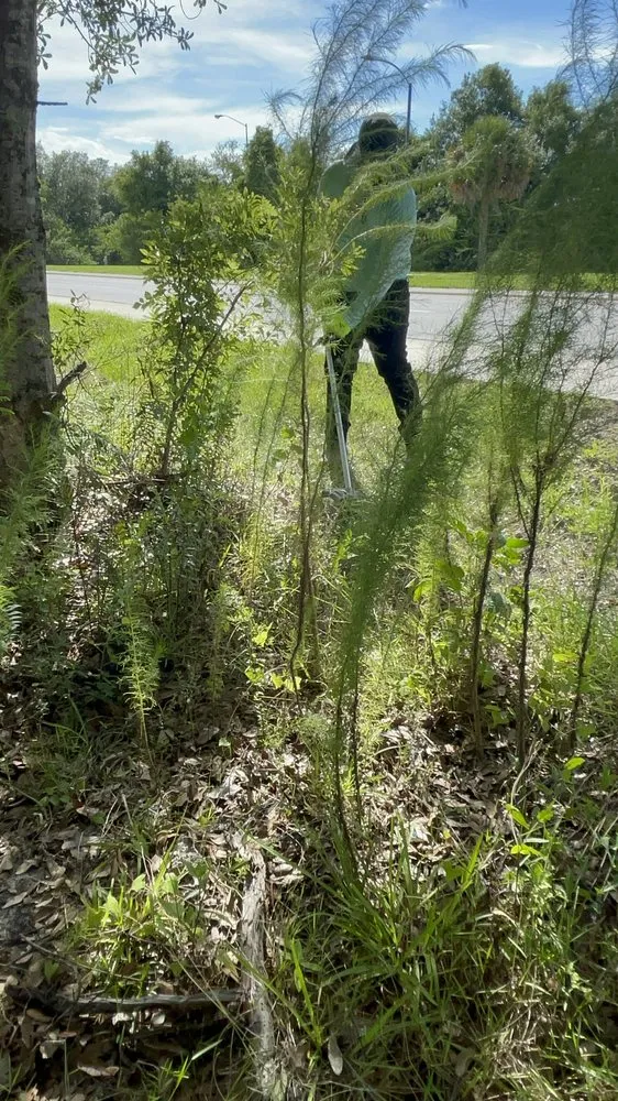 Top-rated landscaping services for residential properties across St. Cloud, FL - P & R Multi Service