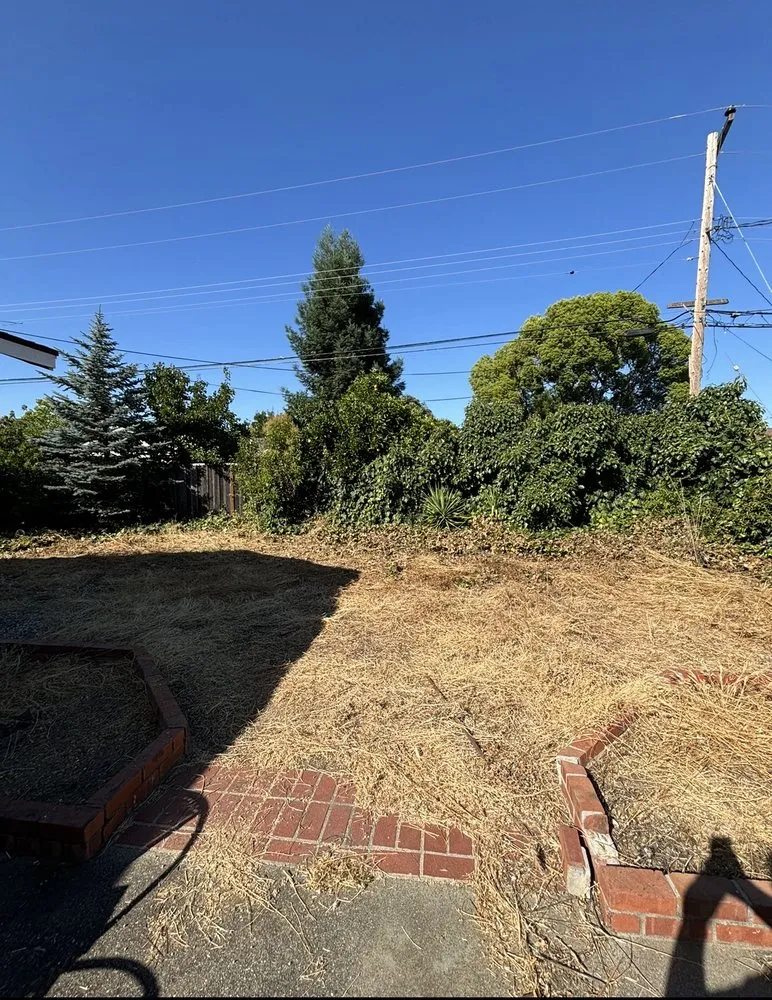 Professional landscaping services experts serving San Jose, CA - P & S Cleaning Service