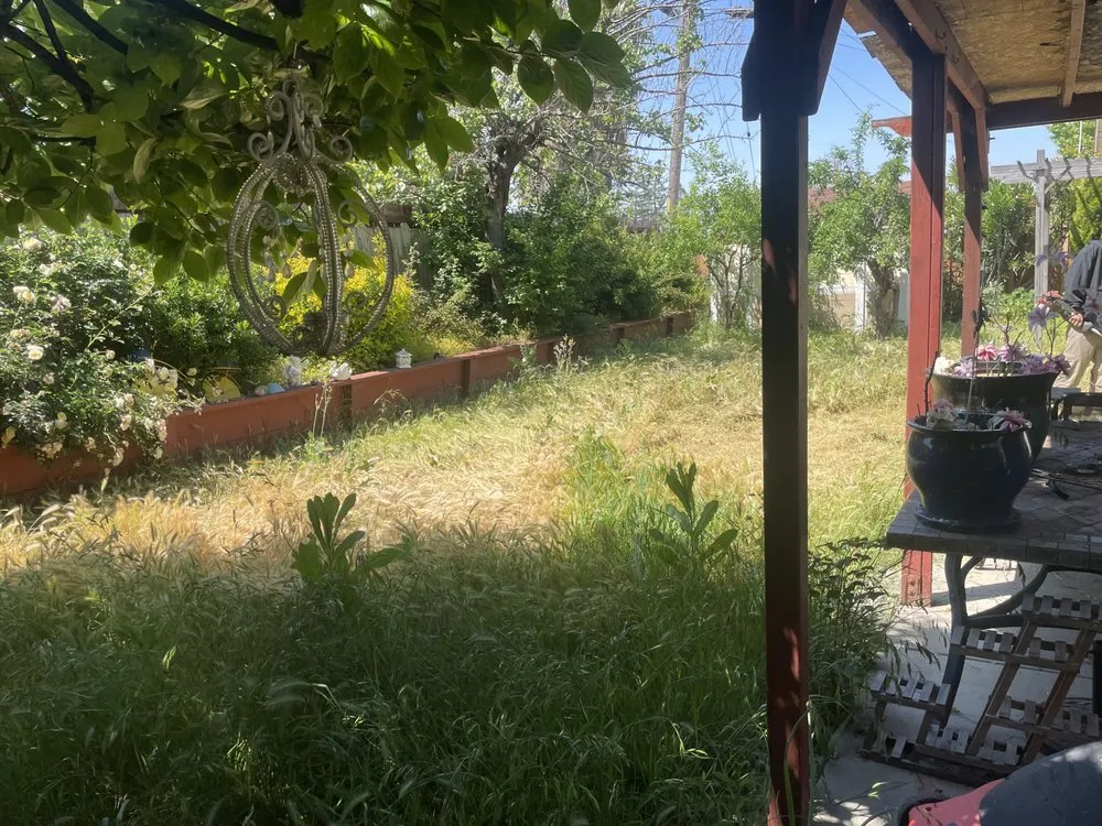 Professional lawn care service in San Jose, CA by P & S Cleaning Service