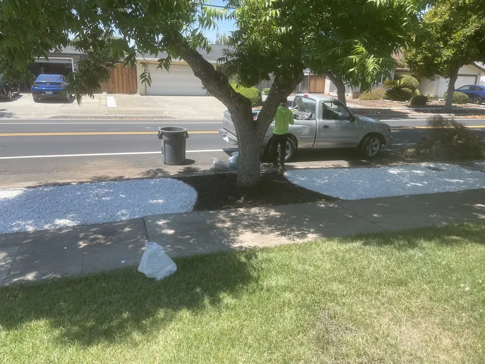 Affordable yard cleanup service with custom design across San Jose, CA - P & S Cleaning Service