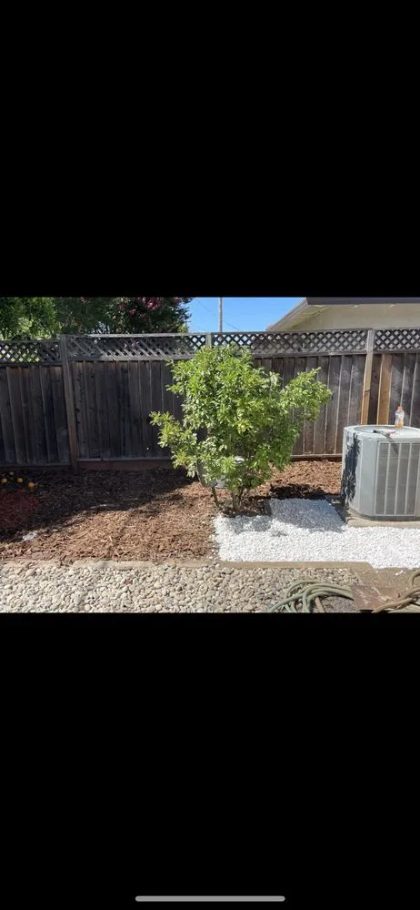 Local landscaping services for beautiful yards across San Jose, CA - P & S Cleaning Service