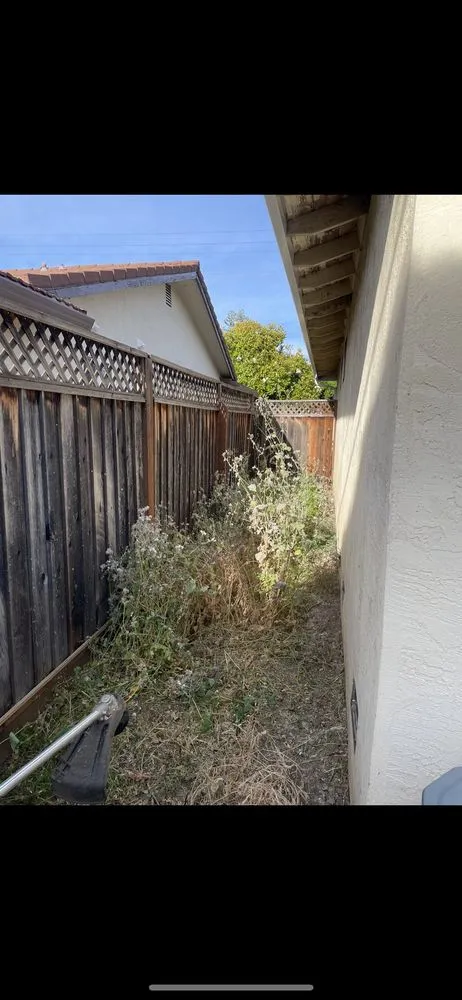 Reliable landscaping services in San Jose, CA - P & S Cleaning Service